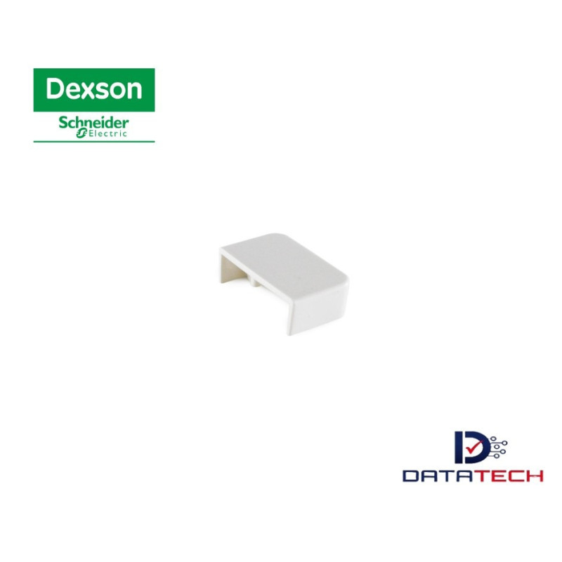 DXN11045 | Accesorio Tapa Final Blanco 20x12 schneider-Dexson