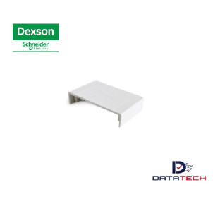 DXN11085 | Accesorio Tapa Final Blanco 40x25 schneider-Dexson